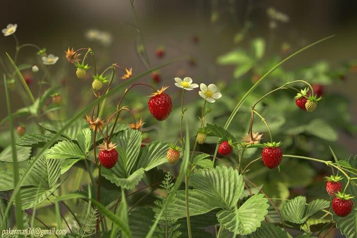 Orchard’s Embrace: Summer Berry Medley